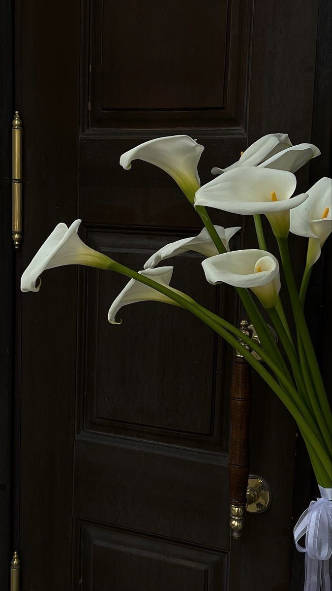 Calla lilies at door
